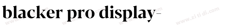 blacker pro display字体转换 blacker pro display字体转换